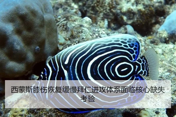 西蒙斯膝伤恢复缓慢拜仁进攻体系面临核心缺失考验