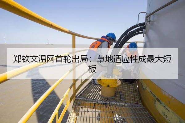 郑钦文温网首轮出局：草地适应性成最大短板