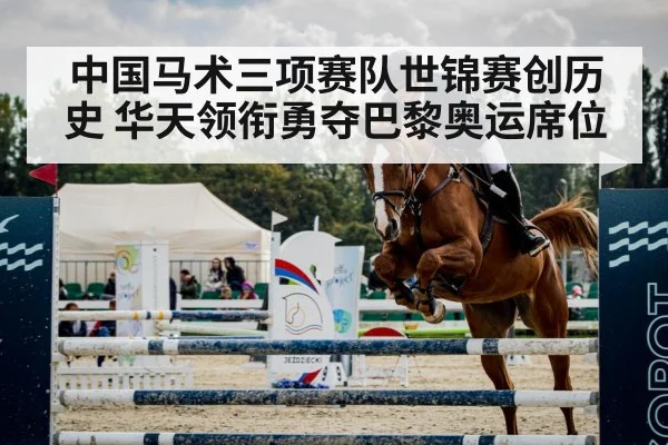 show jumping horse