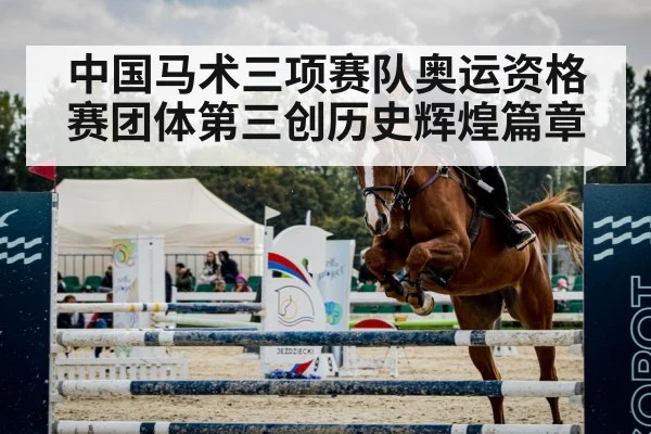 show jumping horse