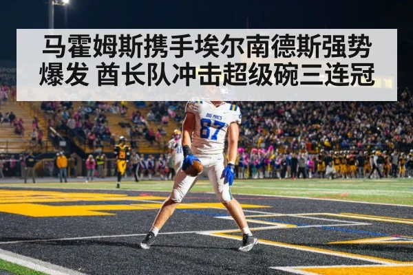 马霍姆斯携手埃尔南德斯强势爆发 酋长队冲击超级碗三连冠